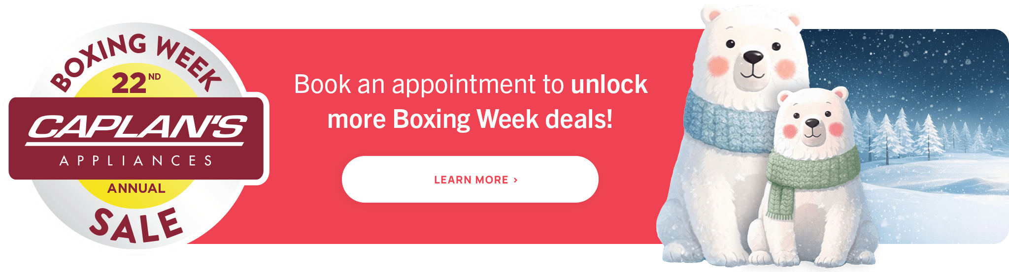 PROMO PAGE BANNER copy