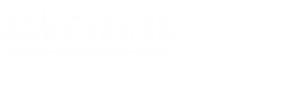 Blomberg appliances logo