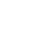 Evo Brand Logo