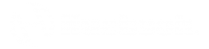 huebsch logo